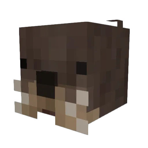 sleepyb_ Minecraft avatar head, 3D render