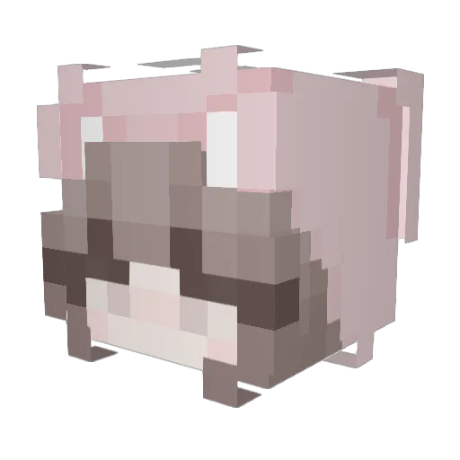 sleepybunie Minecraft avatar head, 3D render