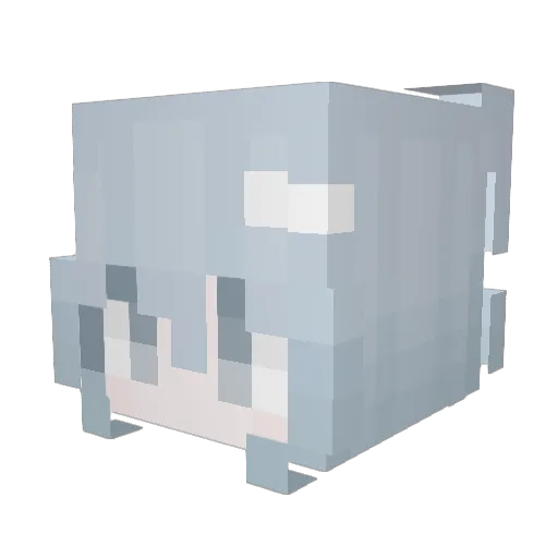 sleepybunny216 Minecraft avatar head, 3D render