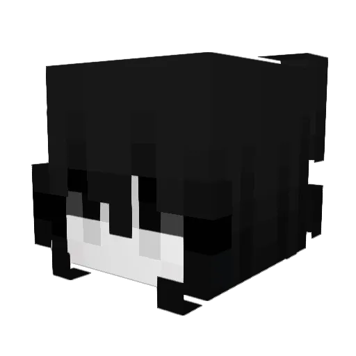 sleepycats Minecraft avatar head, 3D render