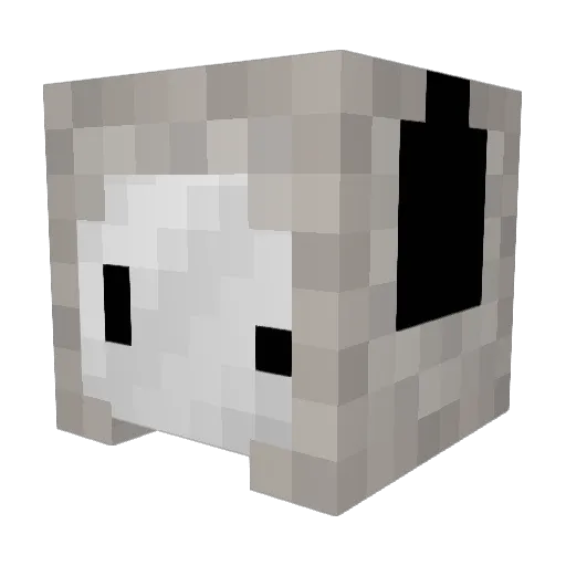 sleepydeprived Minecraft avatar head, 3D render