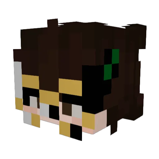 sleepyendermann Minecraft avatar head, 3D render