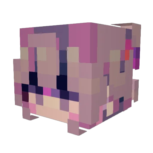 sleepyhead5 Minecraft avatar head, 3D render