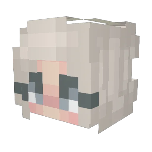 sleepyjerry10 Minecraft avatar head, 3D render