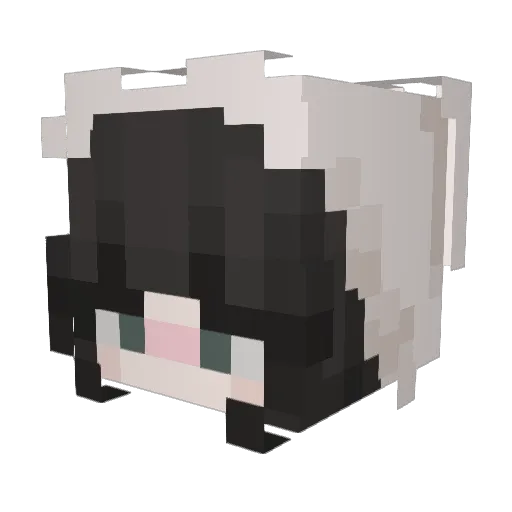 sleepymibbs Minecraft avatar head, 3D render