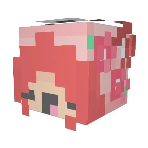 sleepymochibean Minecraft avatar head, 3D render