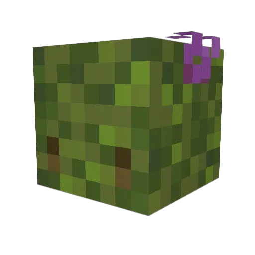sleepymossqueen Minecraft avatar head, 3D render