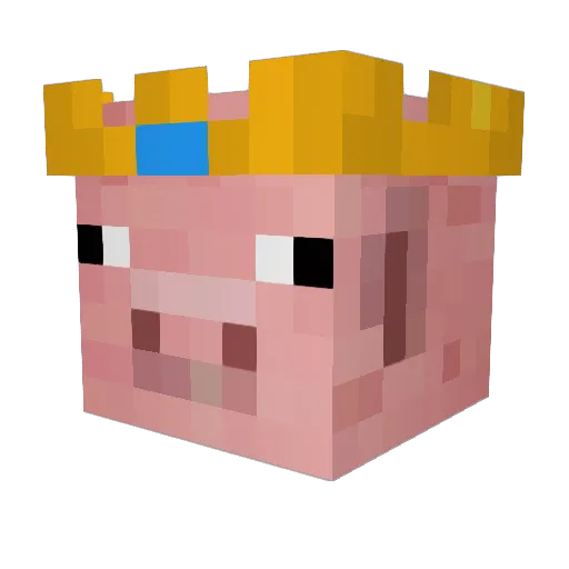 sleepypiglord Minecraft avatar head, 3D render