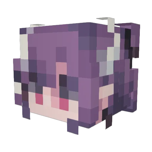 sleepysagas Minecraft avatar head, 3D render