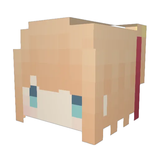 sleepyseals Minecraft avatar head, 3D render