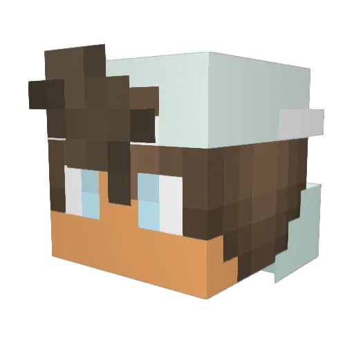 sleepyshishtar Minecraft avatar head, 3D render