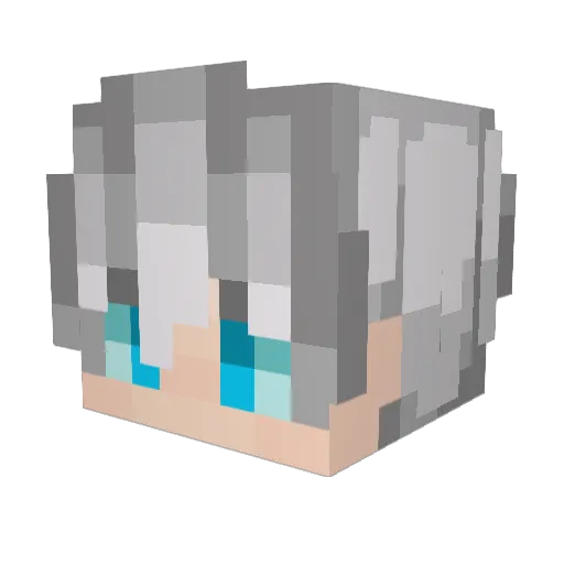 sleepysoju_ Minecraft avatar head, 3D render