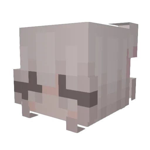 sleepysoulz Minecraft avatar head, 3D render