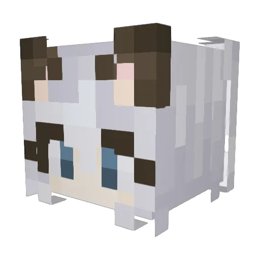 sleepyut Minecraft avatar head, 3D render