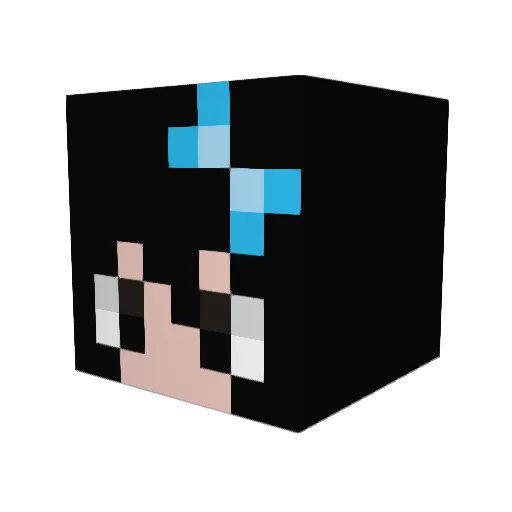 sleepywaffles Minecraft avatar head, 3D render