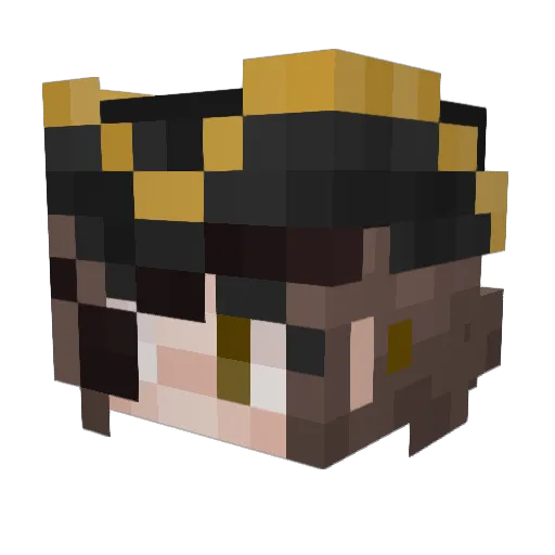 sleepyxxcookie Minecraft avatar head, 3D render