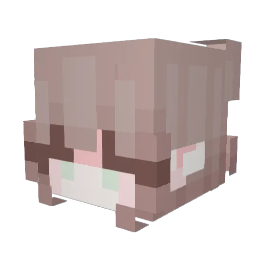 sleepyyheadd Minecraft avatar head, 3D render