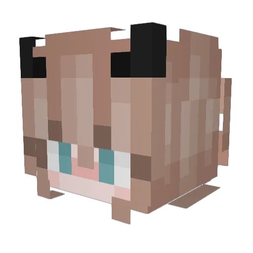 sleestak20 Minecraft avatar head, 3D render