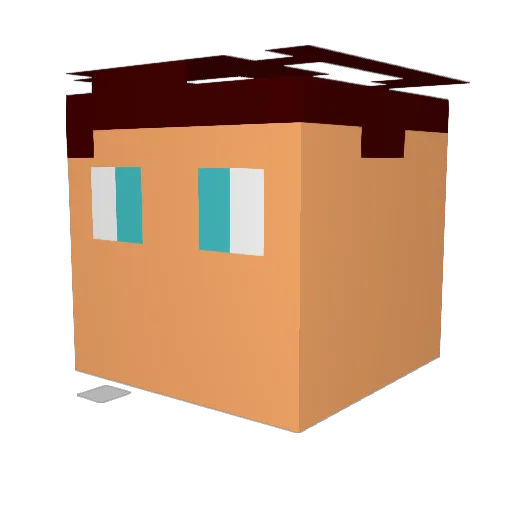 sleider123 Minecraft avatar head, 3D render