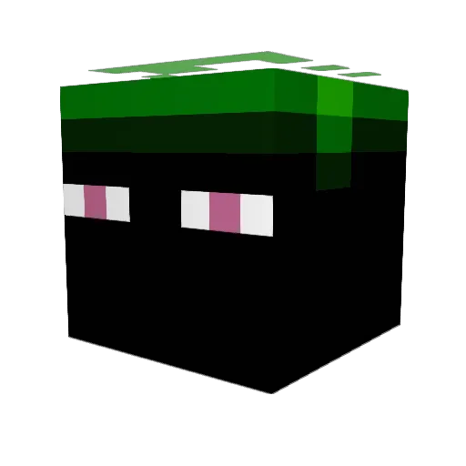 slenderdude95 Minecraft avatar head, 3D render