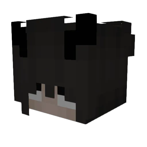 sleonieyl Minecraft avatar head, 3D render
