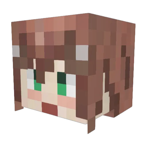 slfx77 Minecraft avatar head, 3D render