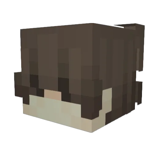 sli__ Minecraft avatar head, 3D render