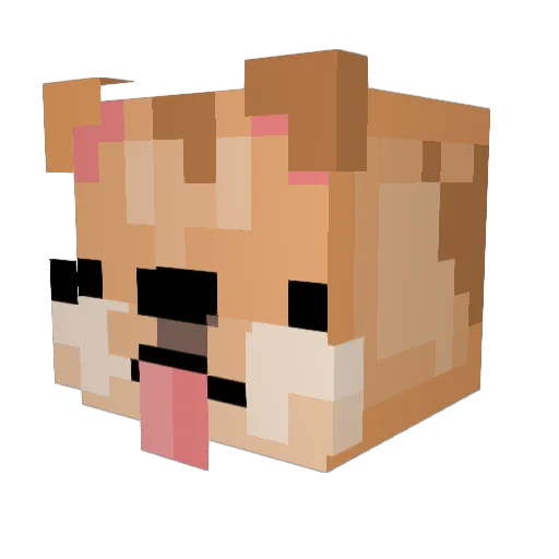 slicedkiwi12 Minecraft avatar head, 3D render