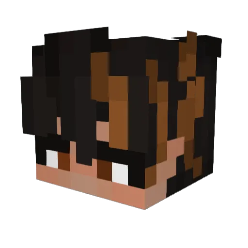 slicklike007 Minecraft avatar head, 3D render