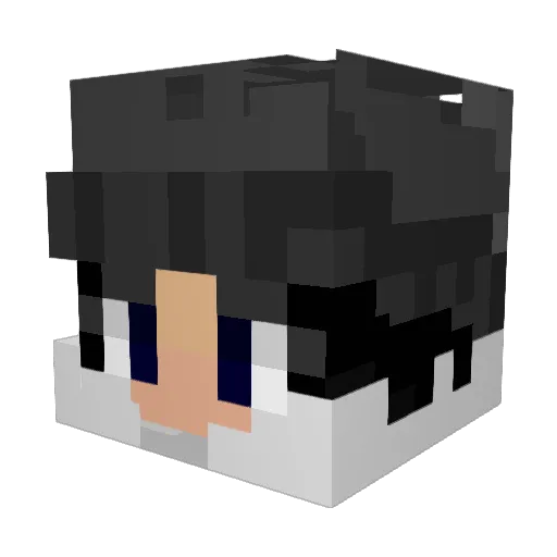sligertiger Minecraft avatar head, 3D render