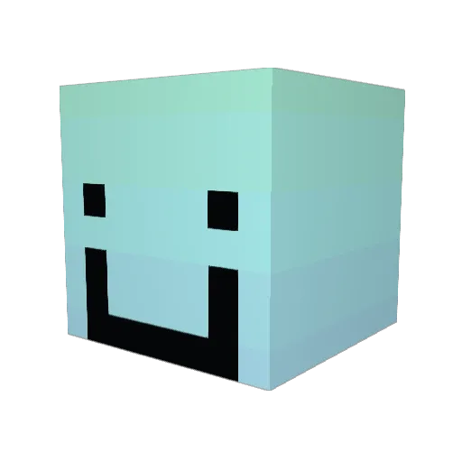 slightlyraweggs Minecraft avatar head, 3D render