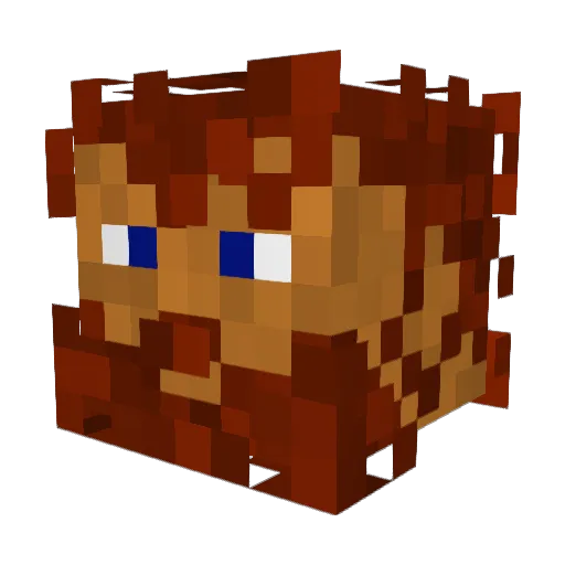 slightlyst00pid Minecraft avatar head, 3D render