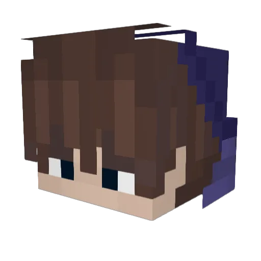 slimdim495 Minecraft avatar head, 3D render