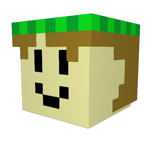 slimeboy12345 Minecraft avatar head, 3D render