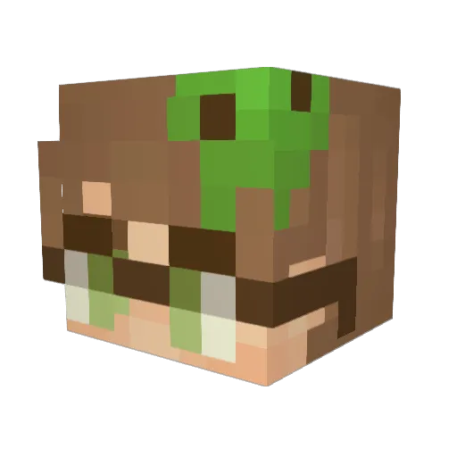 slimecylce Minecraft avatar head, 3D render