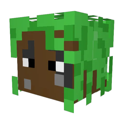 slimedude2007 Minecraft avatar head, 3D render