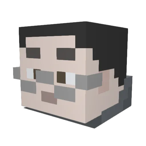 slimefeet Minecraft avatar head, 3D render