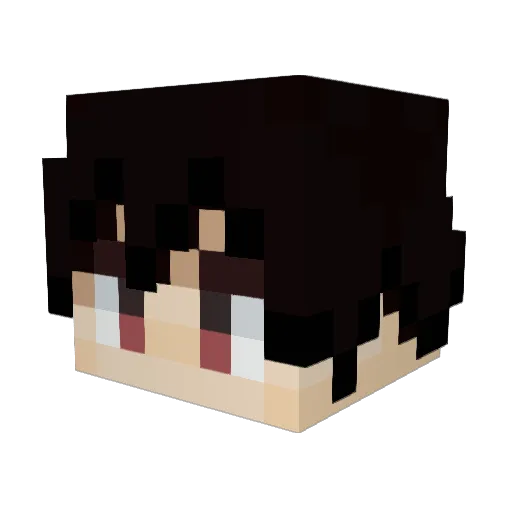 slimeslayer07 Minecraft avatar head, 3D render
