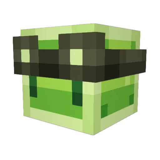 slimeslayer12345 Minecraft avatar head, 3D render