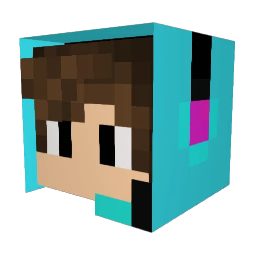 slimeslayer27 Minecraft avatar head, 3D render