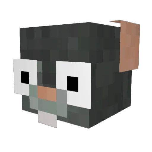 slimfire18 Minecraft avatar head, 3D render