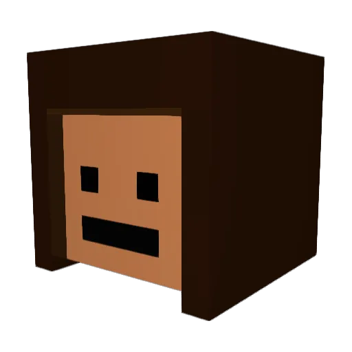 slimshady6969 Minecraft avatar head, 3D render