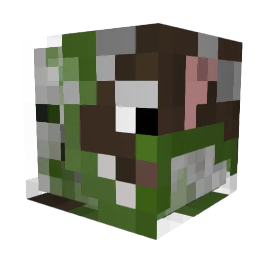 slimshady9876512 Minecraft avatar head, 3D render
