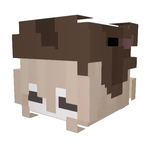 slimyskys Minecraft avatar head, 3D render