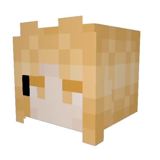 slingbees Minecraft avatar head, 3D render