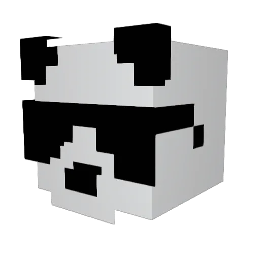 slinkySloth123 Minecraft avatar head, 3D render