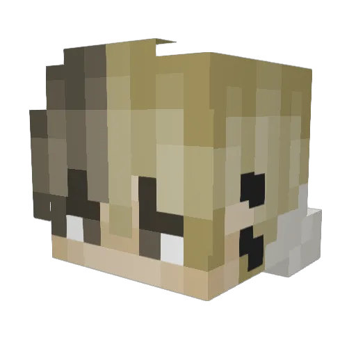 slinkyiscool Minecraft avatar head, 3D render