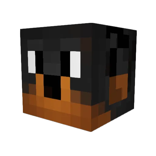 slinkyuser696 Minecraft avatar head, 3D render