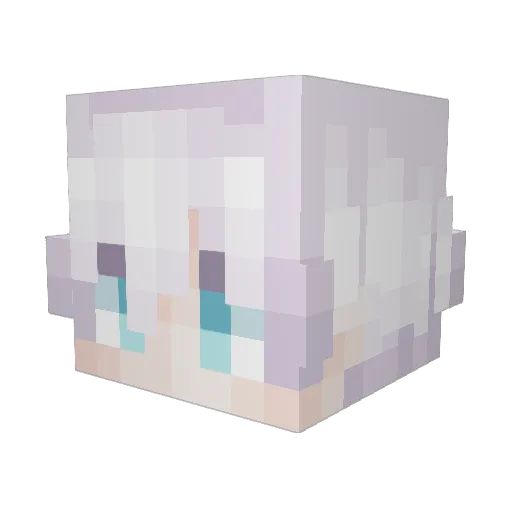 slipperypoo Minecraft avatar head, 3D render