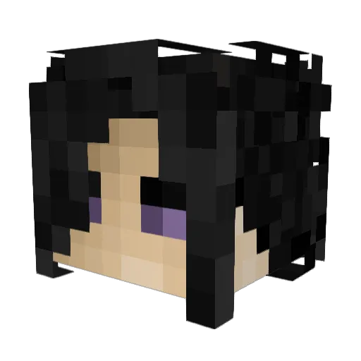 slipperyshawn Minecraft avatar head, 3D render